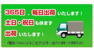 年中無休